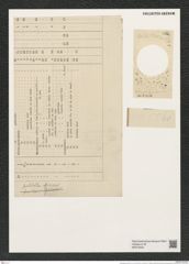 Actinoptychus tener Gr. et St. (de-Toni-Nr.: Genus 227, Species 5560) Zeichnungen Sammlung Grunow (NHMW-BOT-W0379405)
